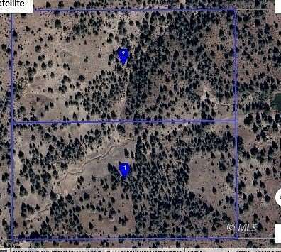 40 Acres of Agricultural Land for Sale in Alturas, California
