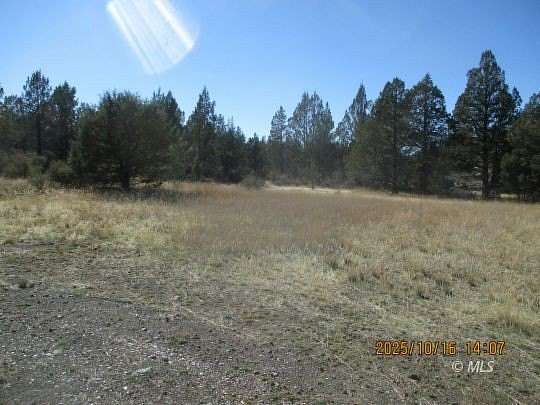 40 Acres of Agricultural & Residential Land for Sale in Alturas, California