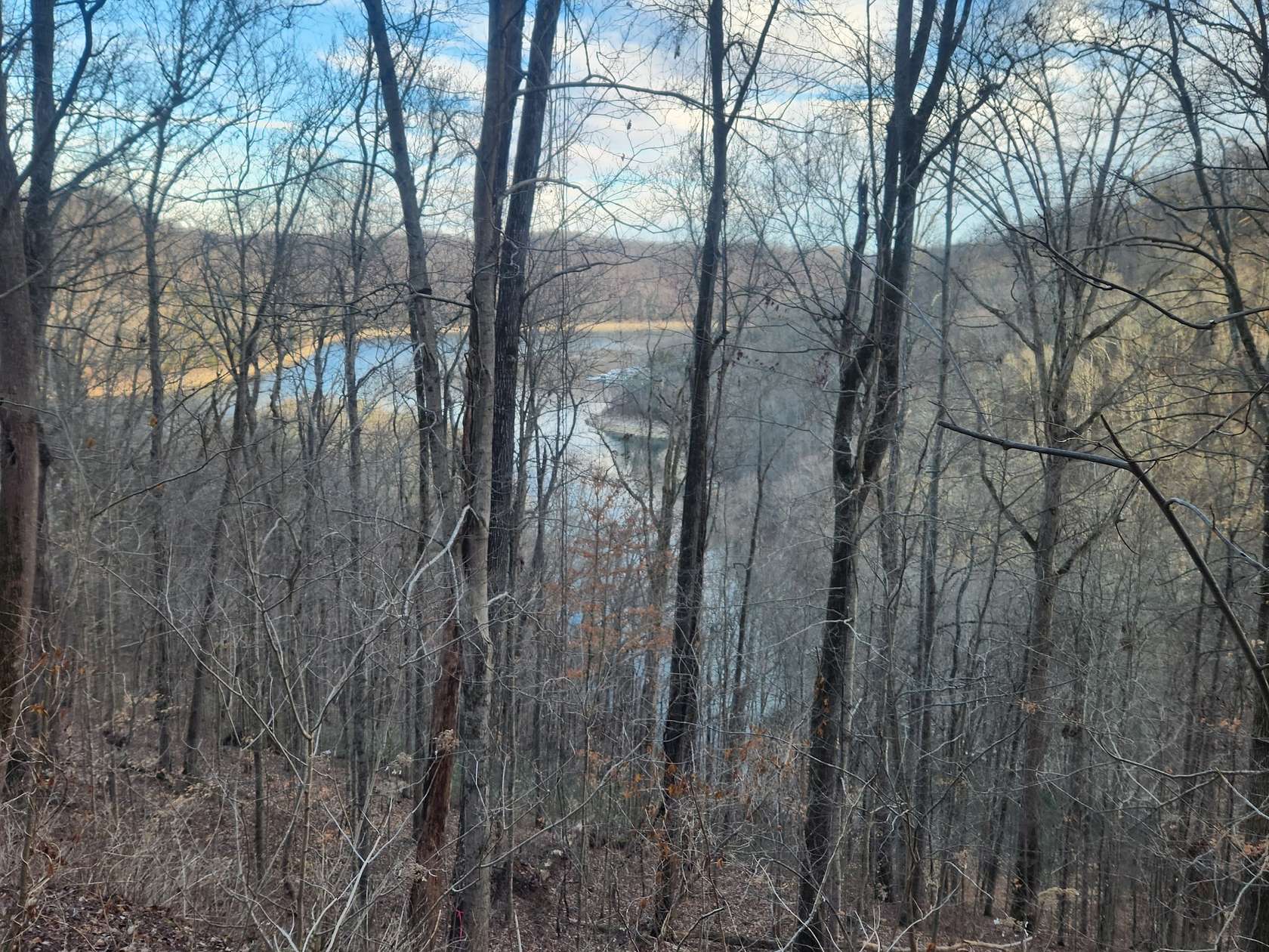 6 Acres of Residential Land for Sale in Smithville, Tennessee