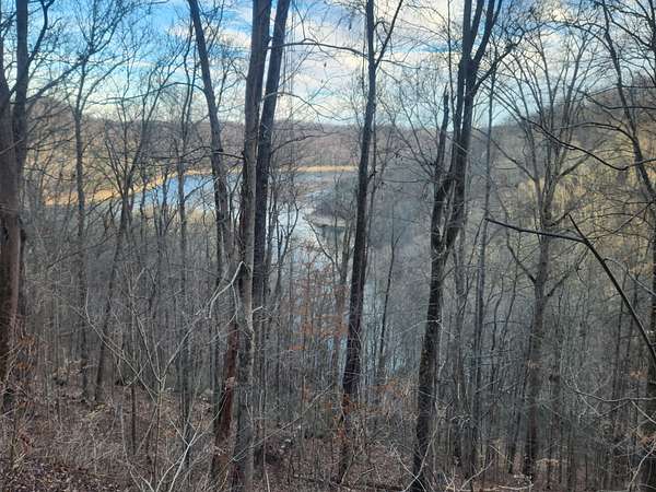 6 Acres of Residential Land for Sale in Smithville, Tennessee