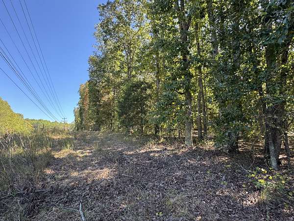 10 Acres of Mixed-Use Land for Sale in Centerville, Tennessee