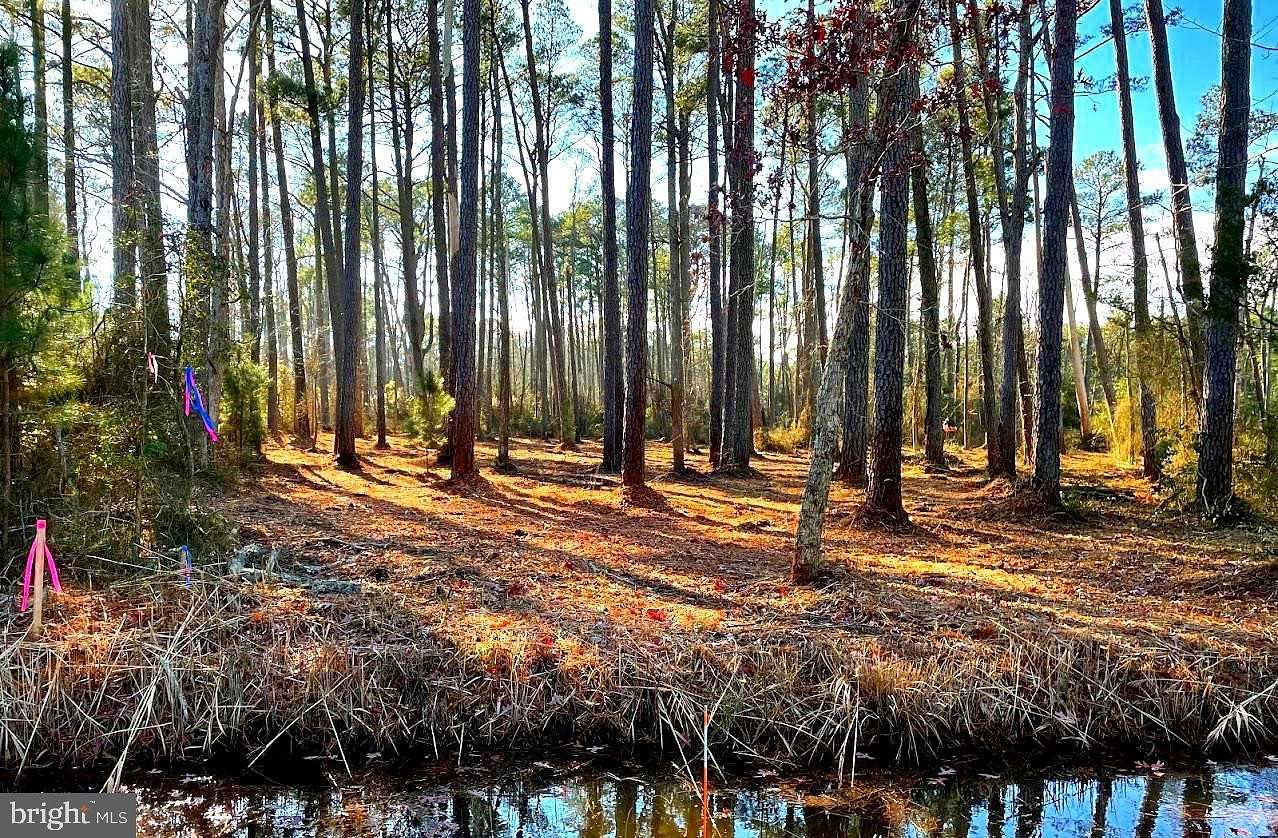 1.2 Acres of Residential Land for Sale in Westover, Maryland