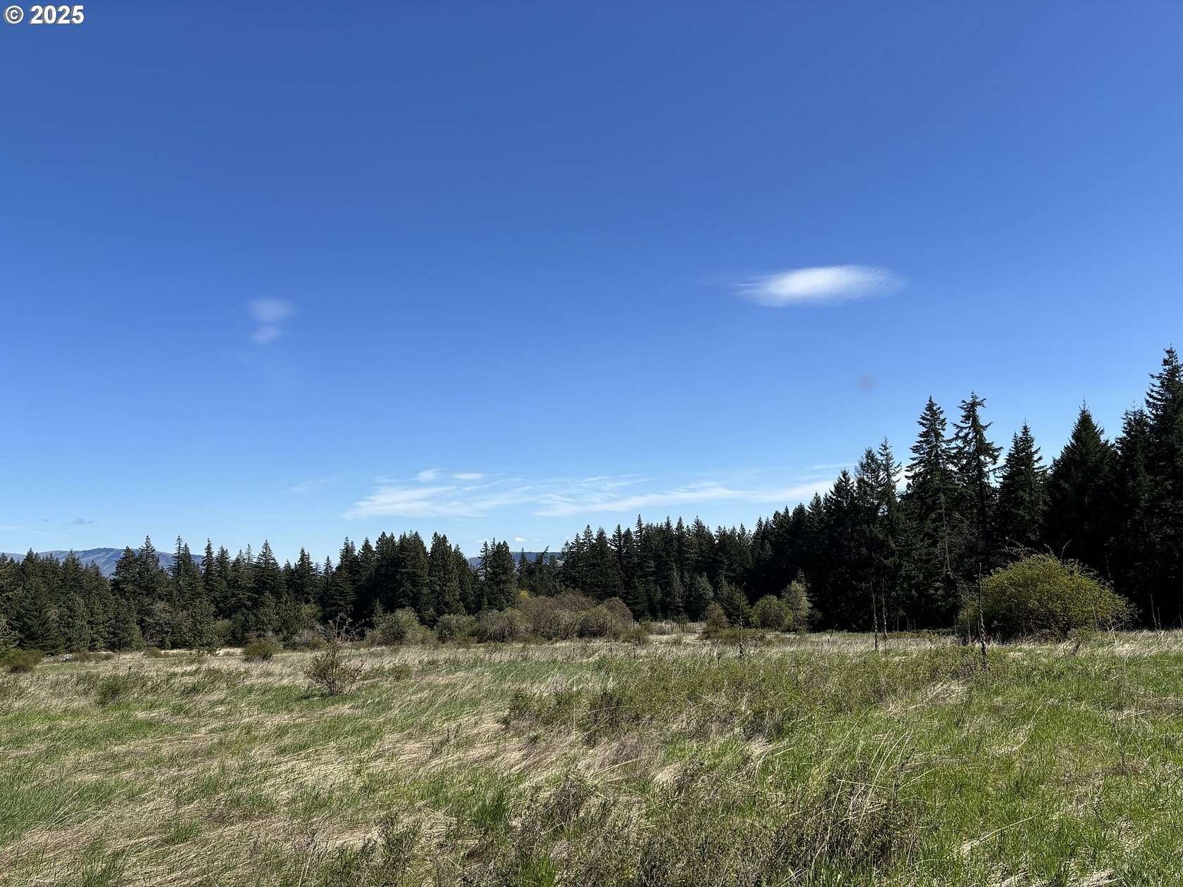 19.4 Acres of Agricultural Land for Sale in White Salmon, Washington