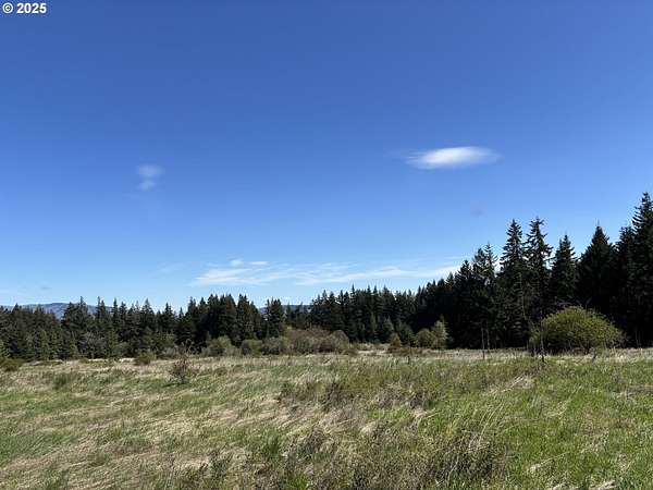 19.4 Acres of Agricultural Land for Sale in White Salmon, Washington
