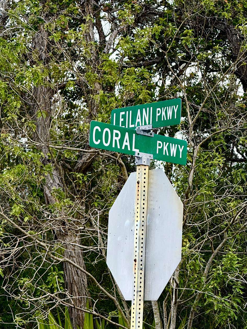 1 Acre of Land for Sale in Hawaiian Ocean View, Hawaii