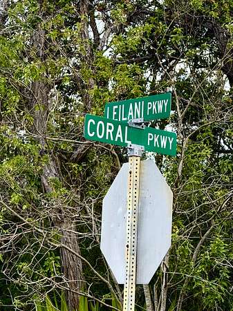 1 Acre of Land for Sale in Hawaiian Ocean View, Hawaii