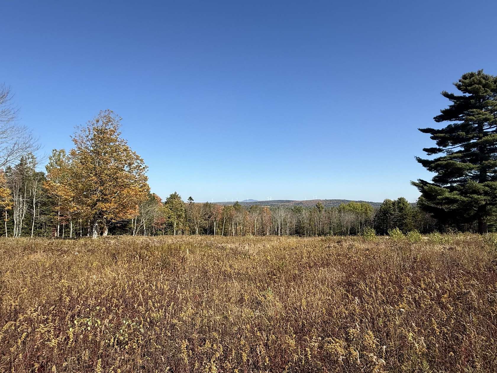 12 Acres of Land for Sale in Mariaville, Maine