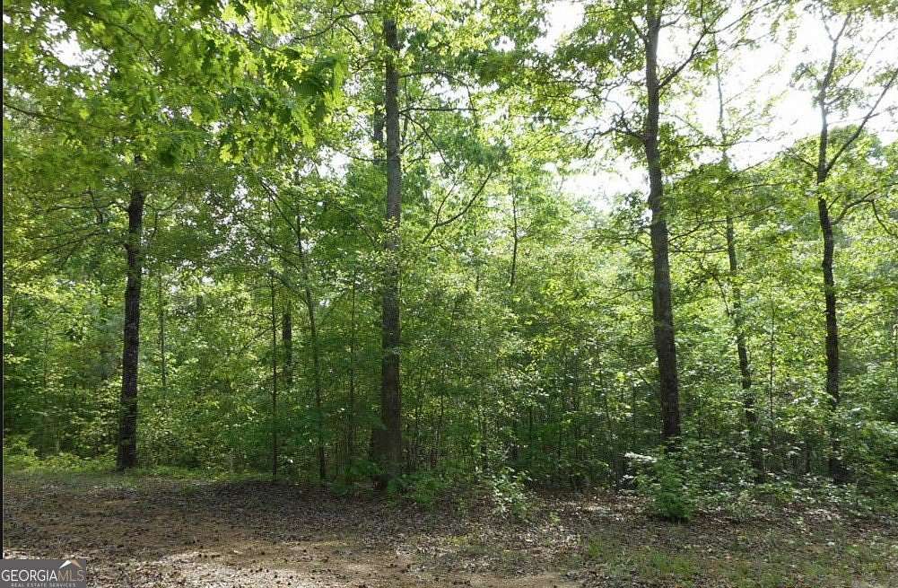 7.34 Acres of Land for Sale in Whitesburg, Georgia