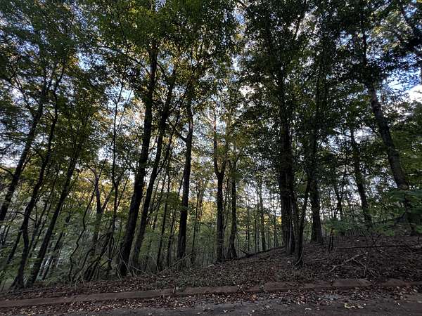 0.73 Acres of Residential Land for Sale in Hixson, Tennessee