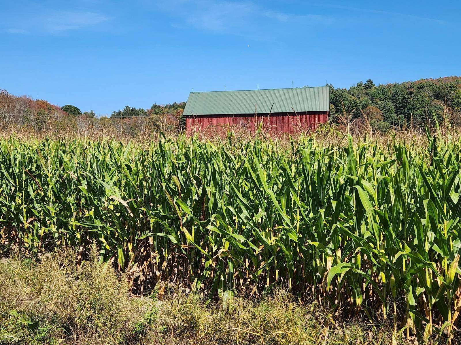 Land for Sale in Guilford, New York
