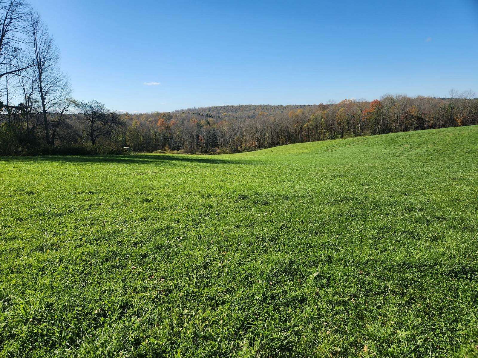 15 Acres of Land for Sale in Guilford, New York