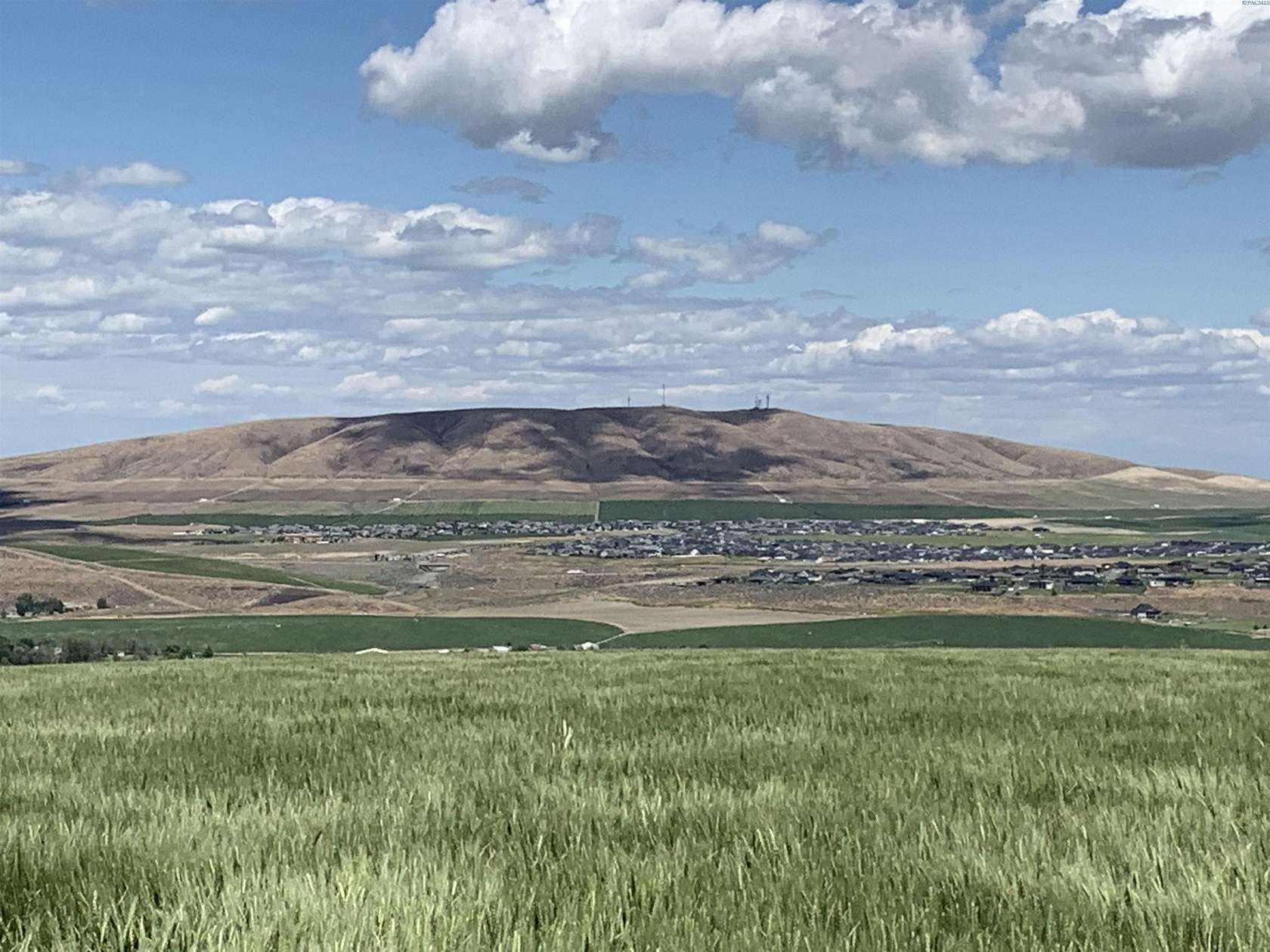 20 Acres of Agricultural Land for Sale in Kennewick, Washington