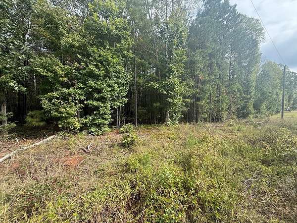 13.5 Acres of Recreational Land for Sale in Drakes Branch, Virginia
