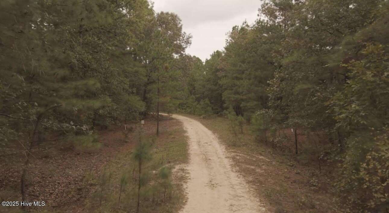 17.1 Acres of Land for Sale in Laurinburg, North Carolina