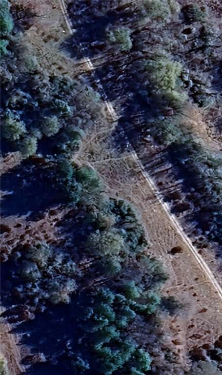 3.56 Acres of Residential Land for Sale in Oakwood, Texas