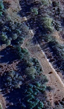 3.56 Acres of Residential Land for Sale in Oakwood, Texas