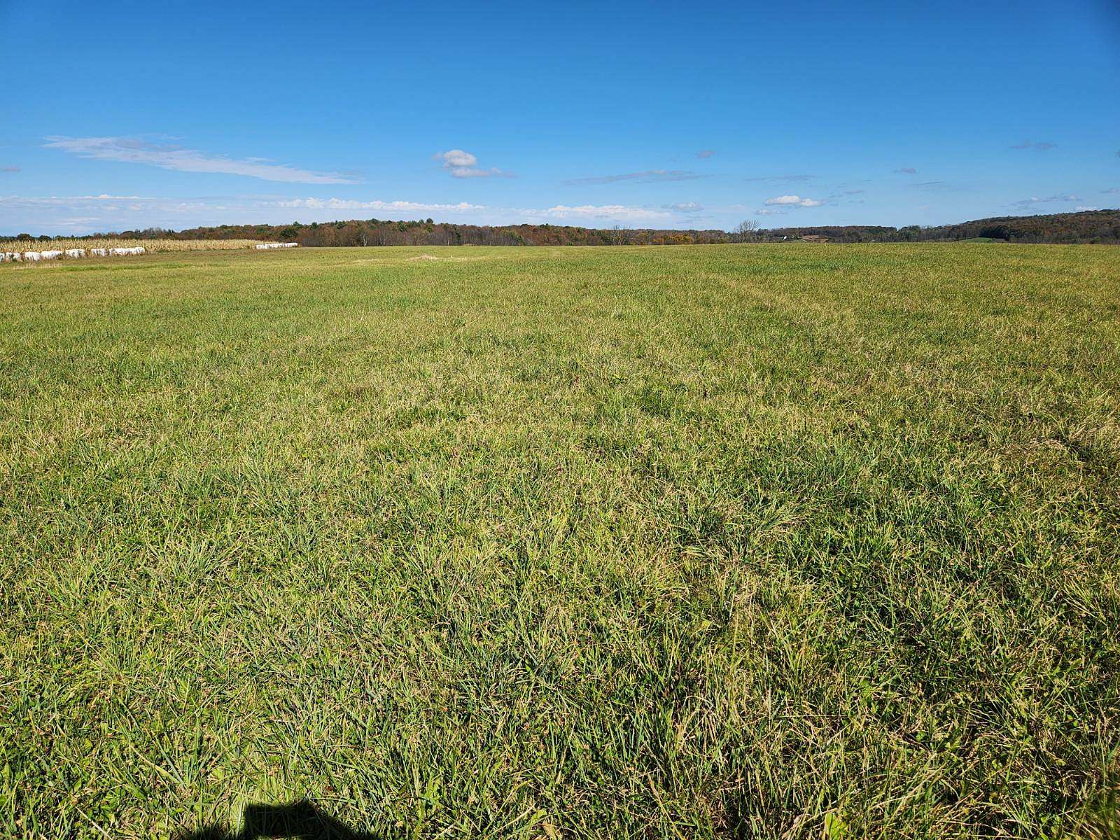 103 Acres of Agricultural Land for Sale in Guilford, New York