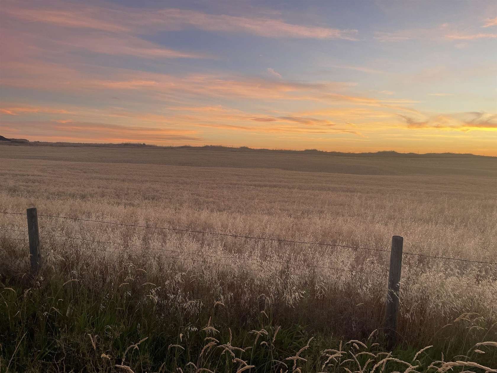 39.6 Acres of Agricultural & Residential Land for Sale in Reardan, Washington