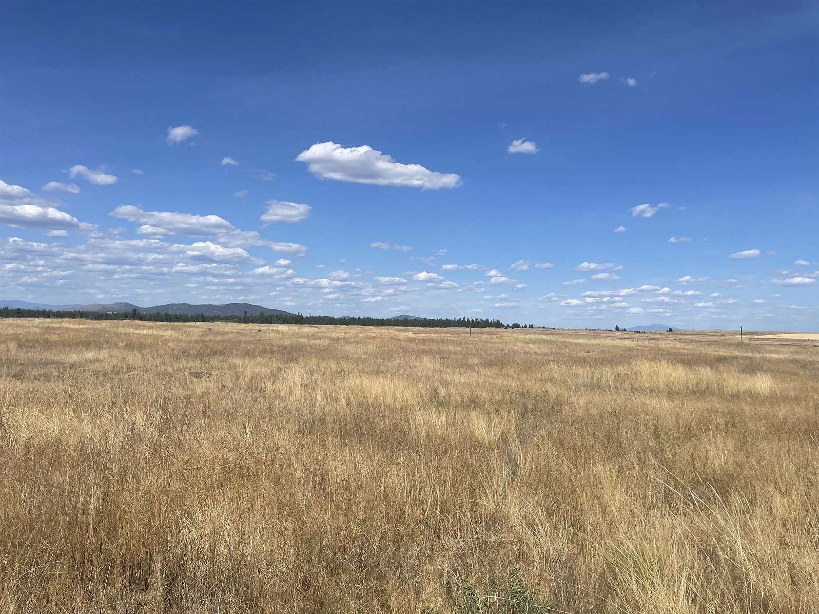 39.7 Acres of Agricultural & Residential Land for Sale in Reardan, Washington