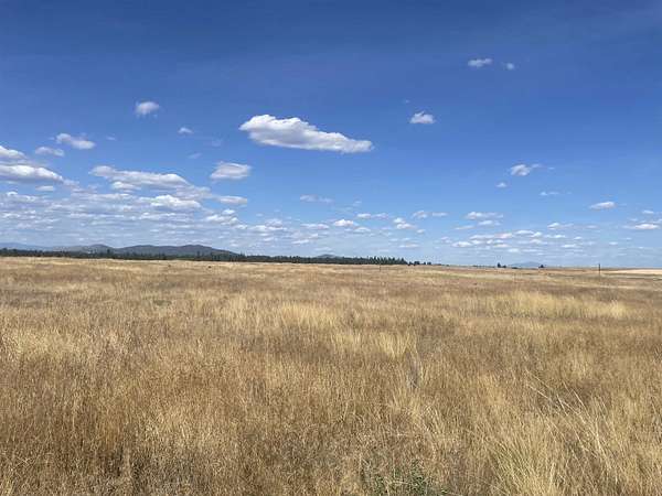 39.7 Acres of Agricultural & Residential Land for Sale in Reardan, Washington