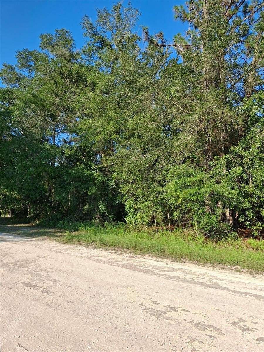 0.5 Acres of Residential Land for Sale in Weeki Wachee, Florida