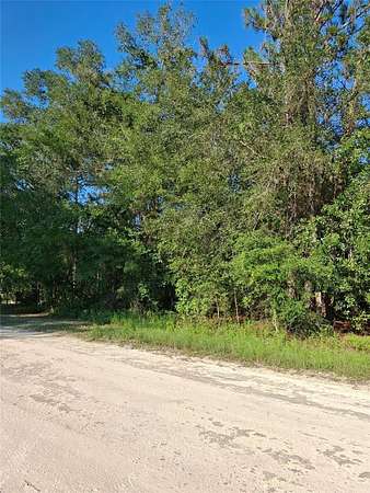 0.5 Acres of Residential Land for Sale in Weeki Wachee, Florida