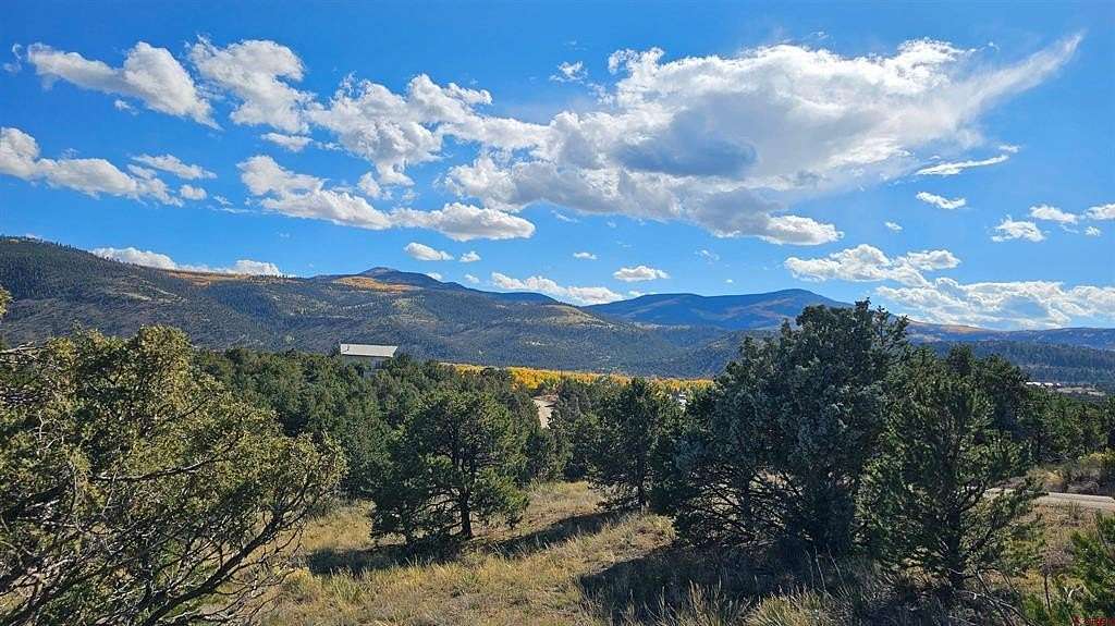 0.6 Acres of Residential Land for Sale in South Fork, Colorado