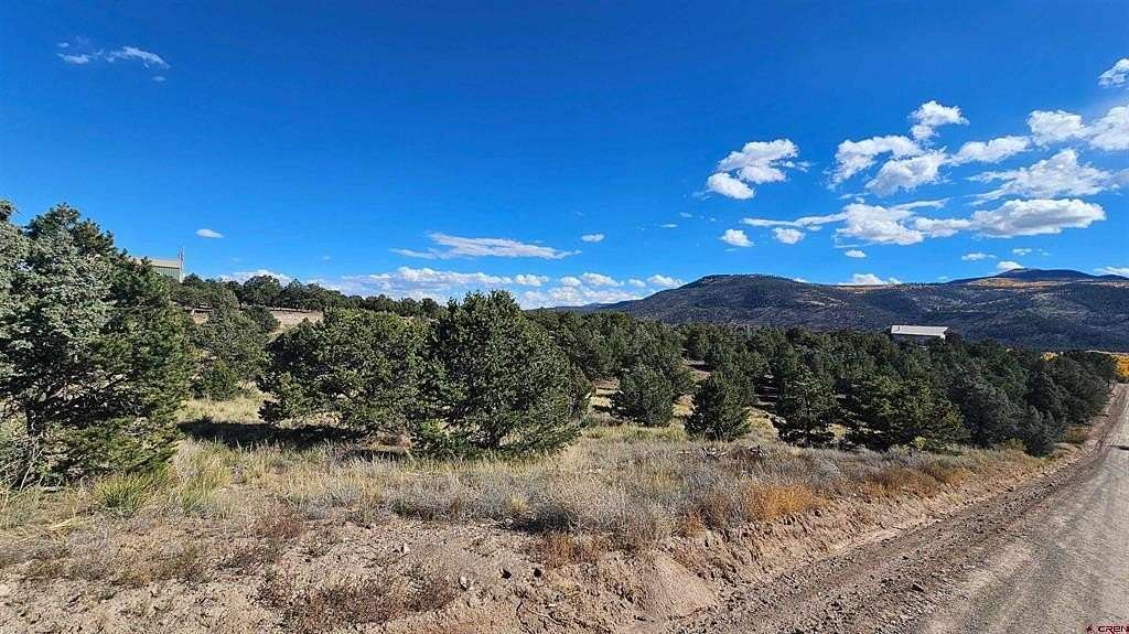 0.6 Acres of Residential Land for Sale in South Fork, Colorado