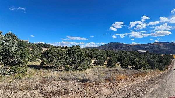 0.6 Acres of Land for Sale in South Fork, Colorado