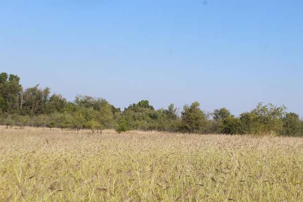 29.9 Acres of Mixed-Use Land for Sale in Woodward, Oklahoma