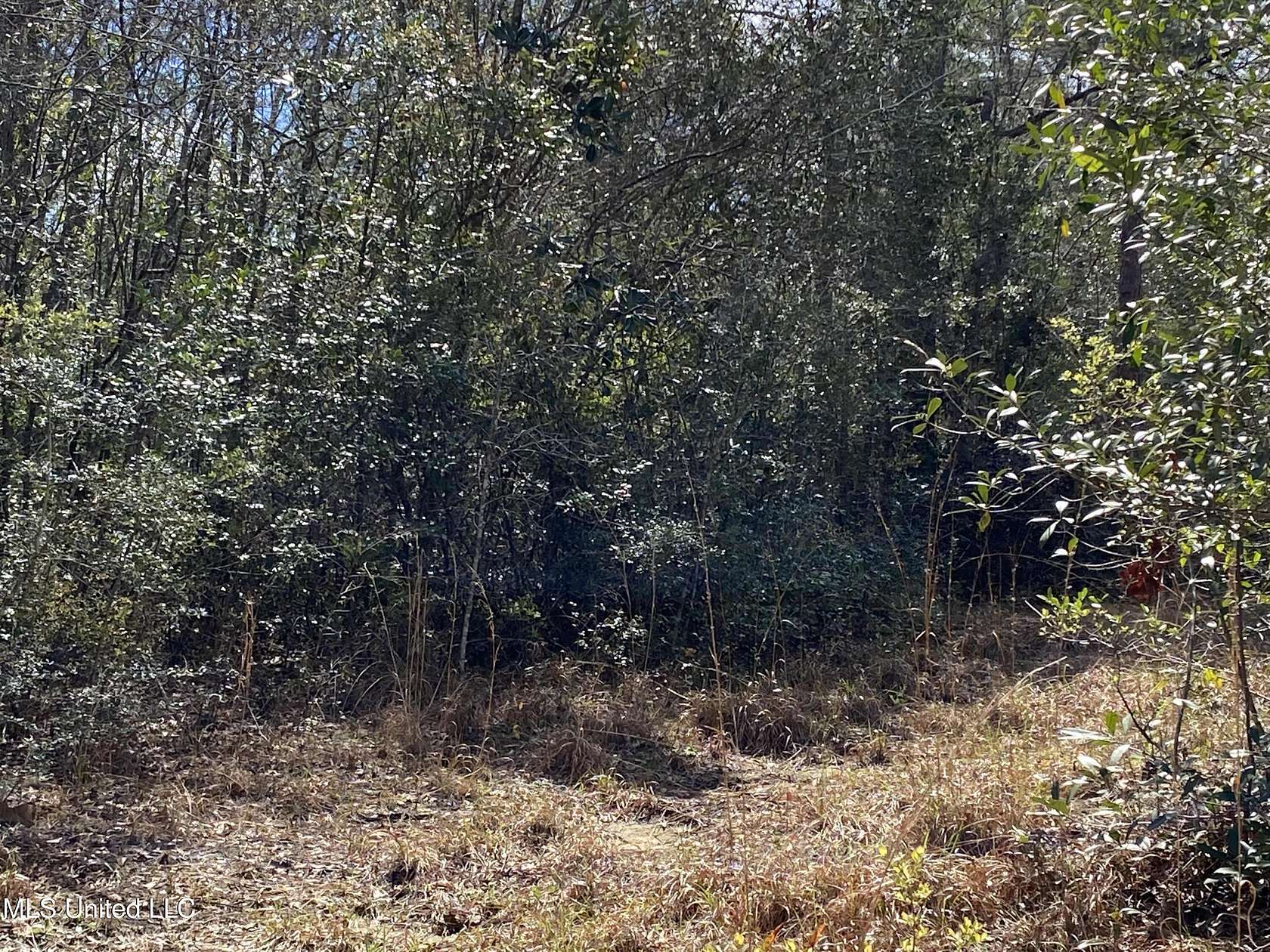 5.5 Acres of Residential Land for Sale in Vancleave, Mississippi