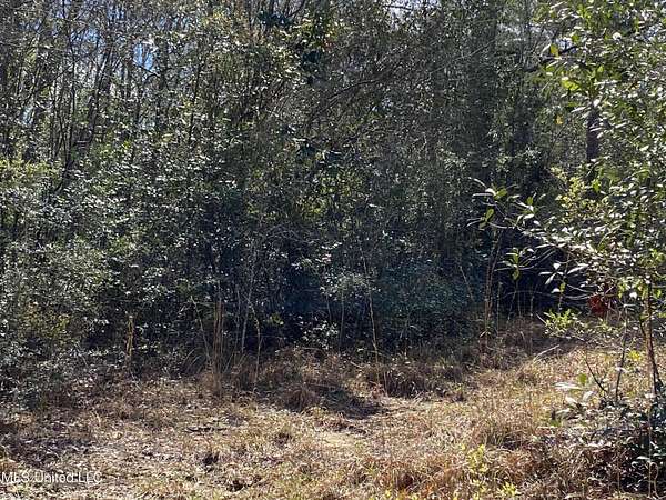 5.5 Acres of Residential Land for Sale in Vancleave, Mississippi
