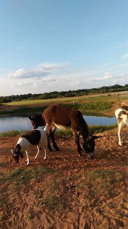 21 Acres of Land with Home for Sale in Hawley, Texas
