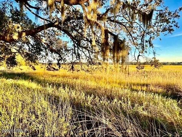 1 Acre of Residential Land for Sale in Seabrook, South Carolina