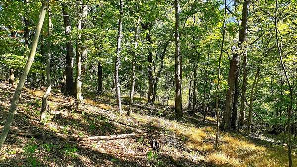 1.16 Acres of Residential Land for Sale in Eighty Four, Pennsylvania
