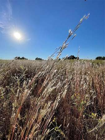 11.5 Acres of Land for Sale in Wills Point, Texas