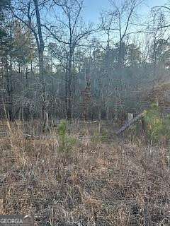 0.5 Acres of Residential Land for Sale in Sparta, Georgia