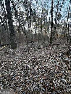 0.5 Acres of Residential Land for Sale in Sparta, Georgia