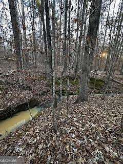 0.5 Acres of Residential Land for Sale in Sparta, Georgia