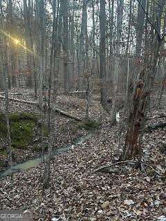 0.5 Acres of Residential Land for Sale in Sparta, Georgia