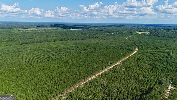 4.73 Acres of Residential Land for Sale in Baxley, Georgia