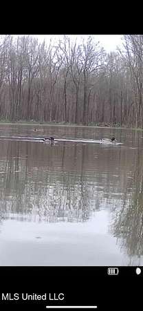 40 Acres of Recreational Land for Sale in Tchula, Mississippi