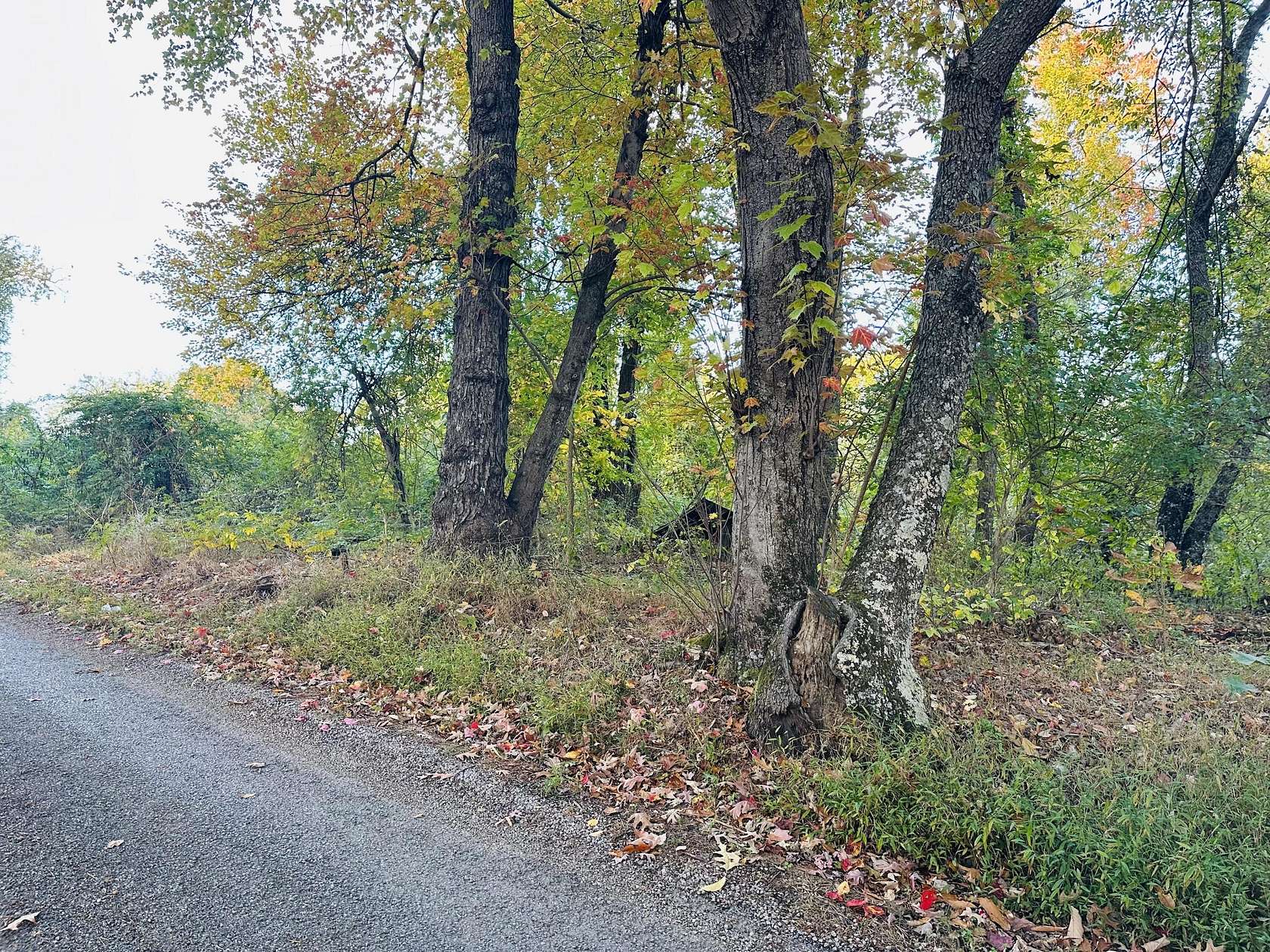 1.22 Acres of Residential Land for Sale in Waynesburg, Kentucky