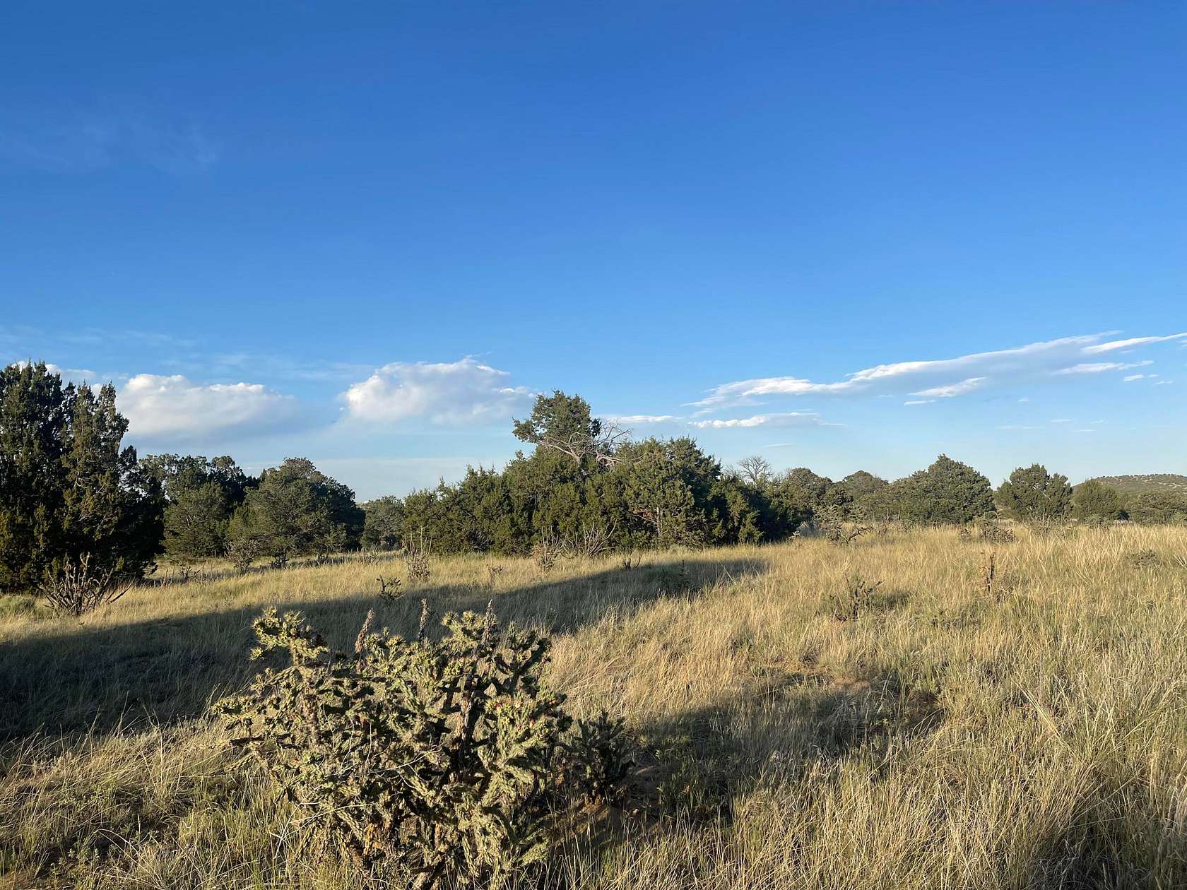 0.6 Acres of Land for Sale in Walsenburg, Colorado