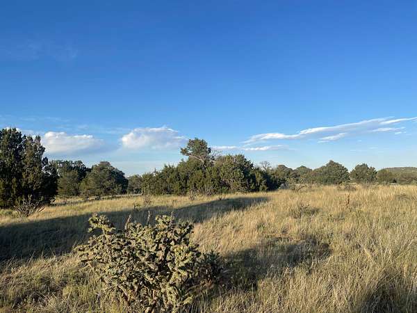 0.6 Acres of Land for Sale in Walsenburg, Colorado
