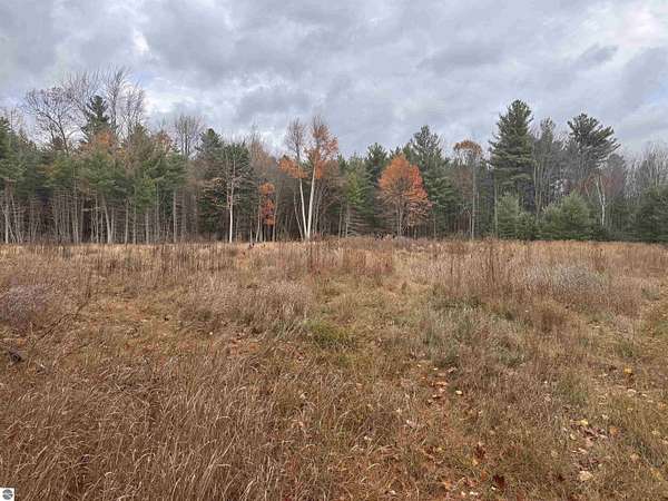 21.4 Acres of Land for Sale in East Tawas, Michigan