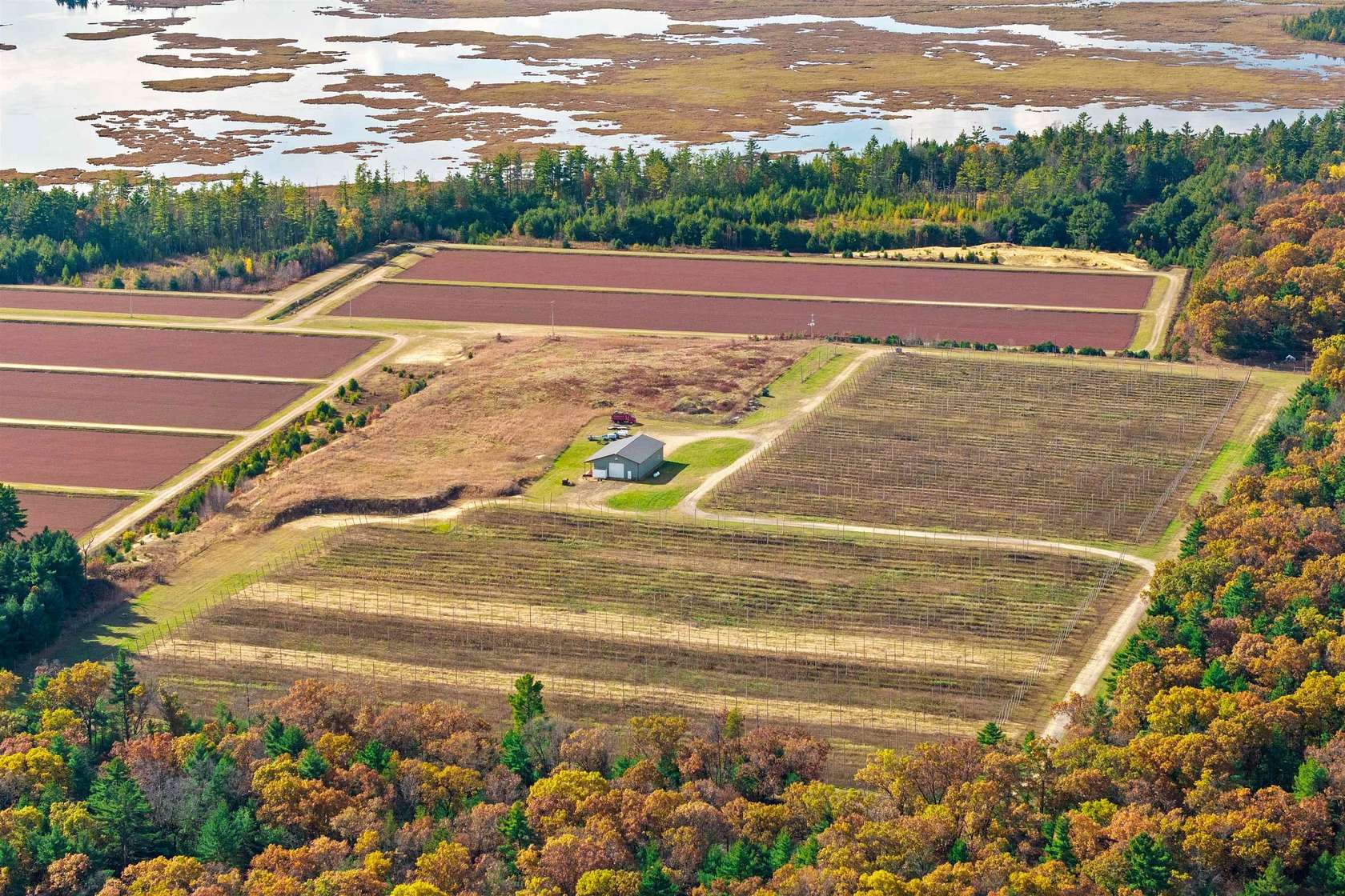 31 Acres of Land for Sale in Warrens, Wisconsin
