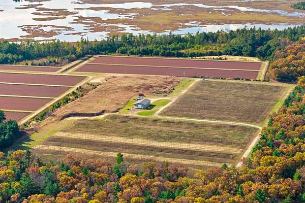 31 Acres of Recreational Land & Farm for Sale in Warrens, Wisconsin
