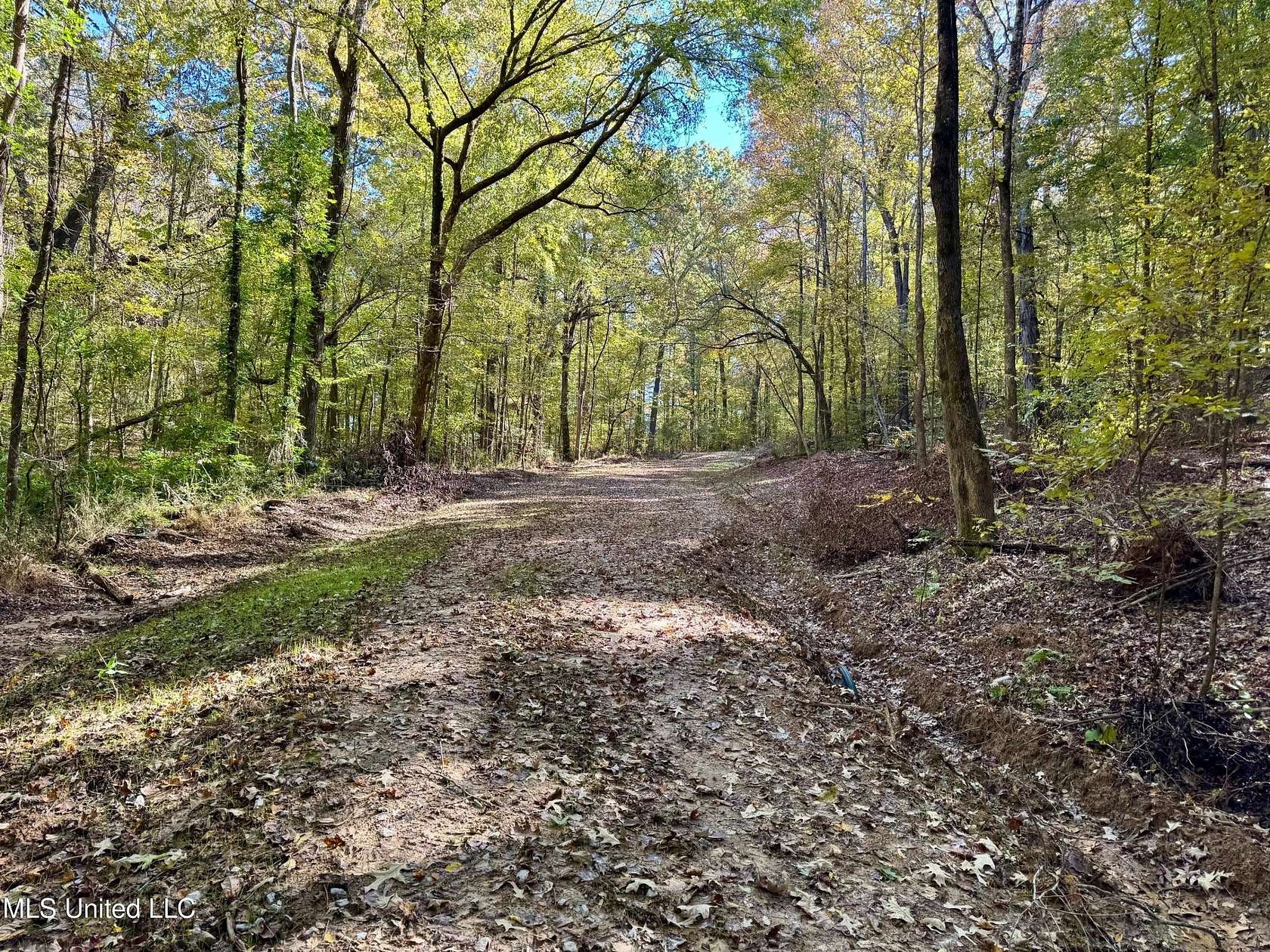 46 Acres of Recreational Land for Sale in Oxford, Mississippi