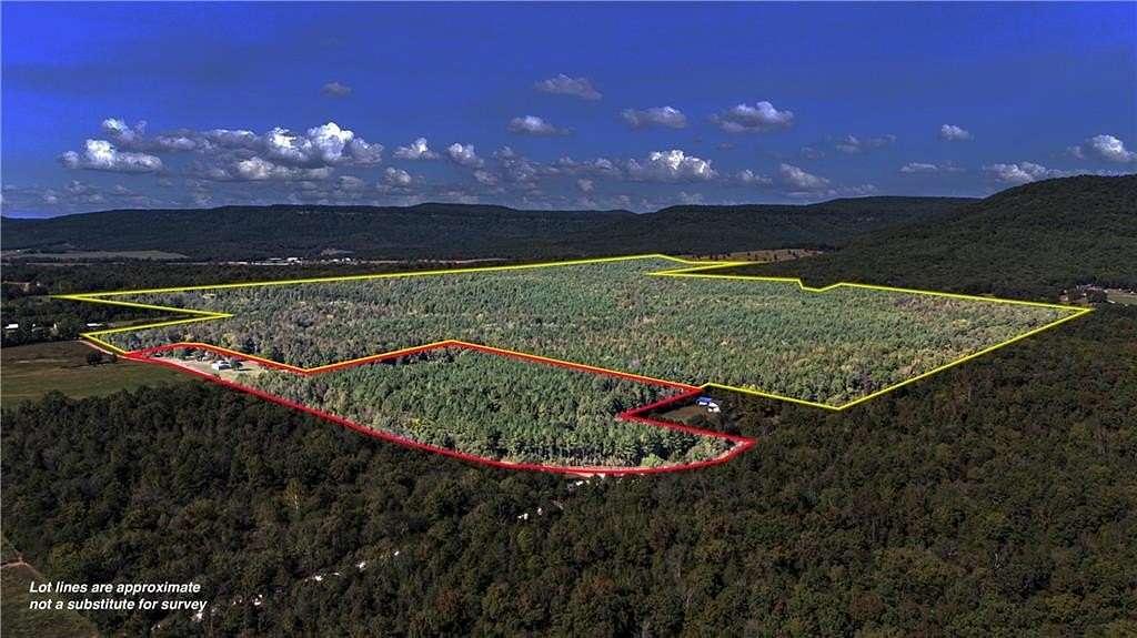 295 Acres of Recreational Land for Sale in Clarksville, Arkansas